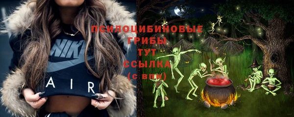 шишки Лагань