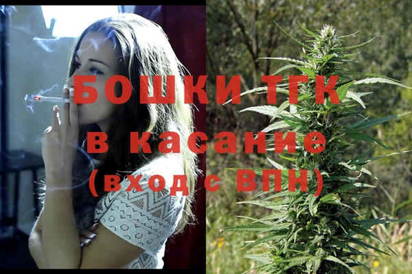 шишки Лагань