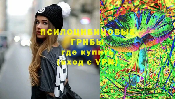 метадон Ладушкин