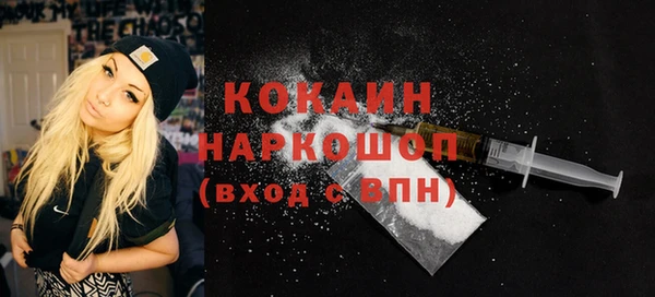 шишки Лагань