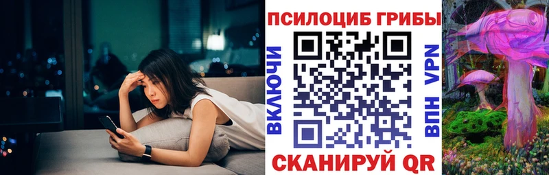 Купить закладки  Тосно  Галлюциногенные грибы Psilocybine cubensis 