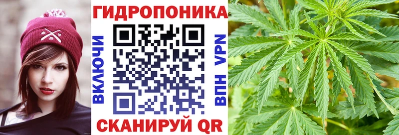 Купить где  Тосно  Канабис SATIVA & INDICA 